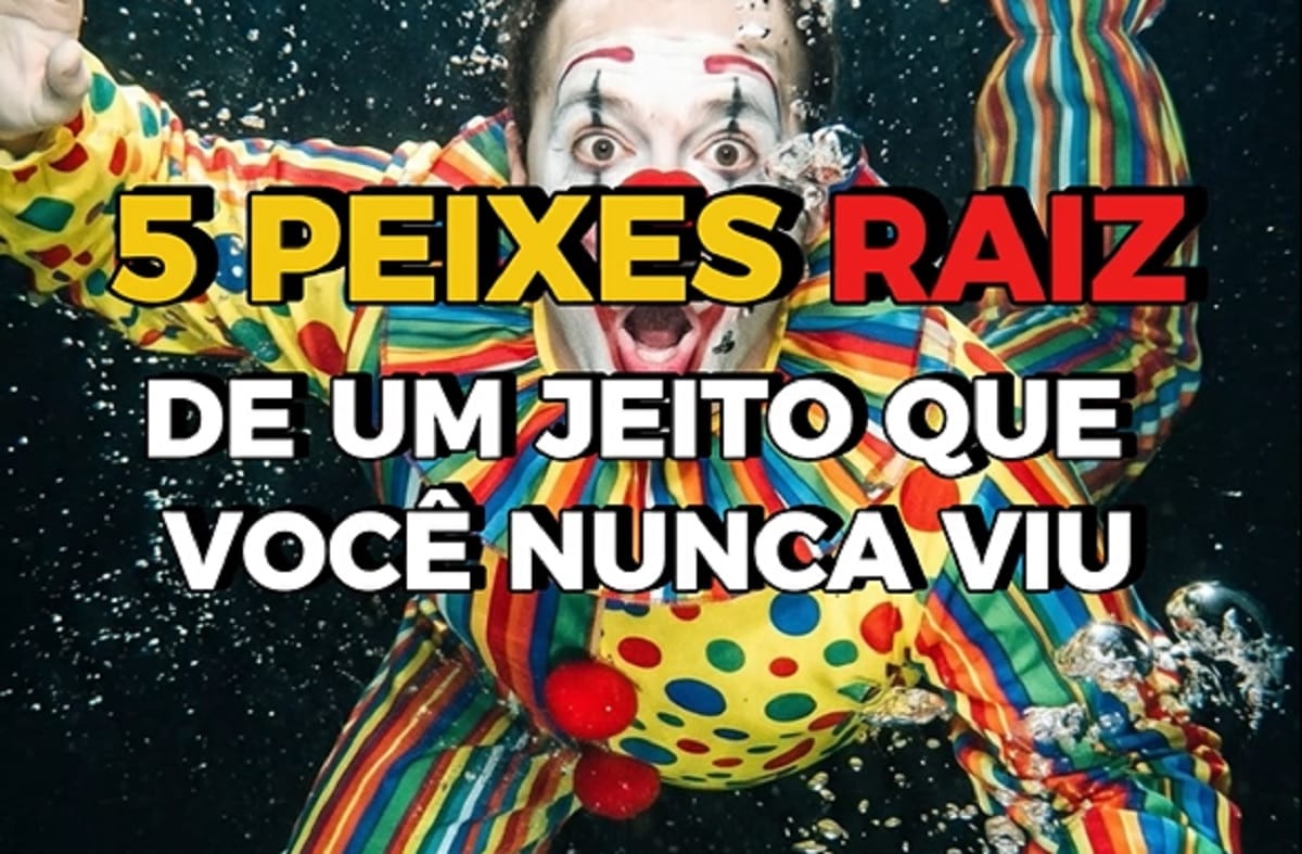 Cinco Peixes Raiz